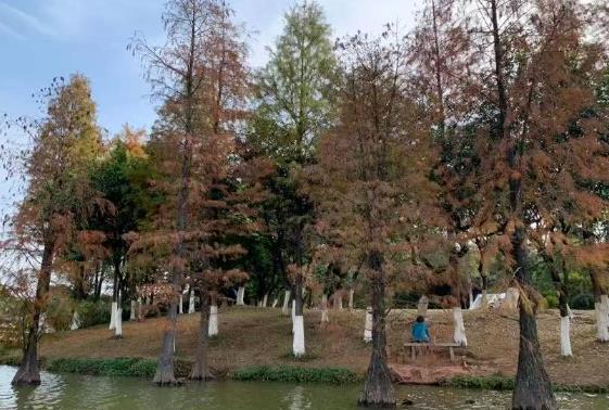 大夫山森林公园 - 全国335座高尔夫球场实时预订-高球爱好者一站式订场平台