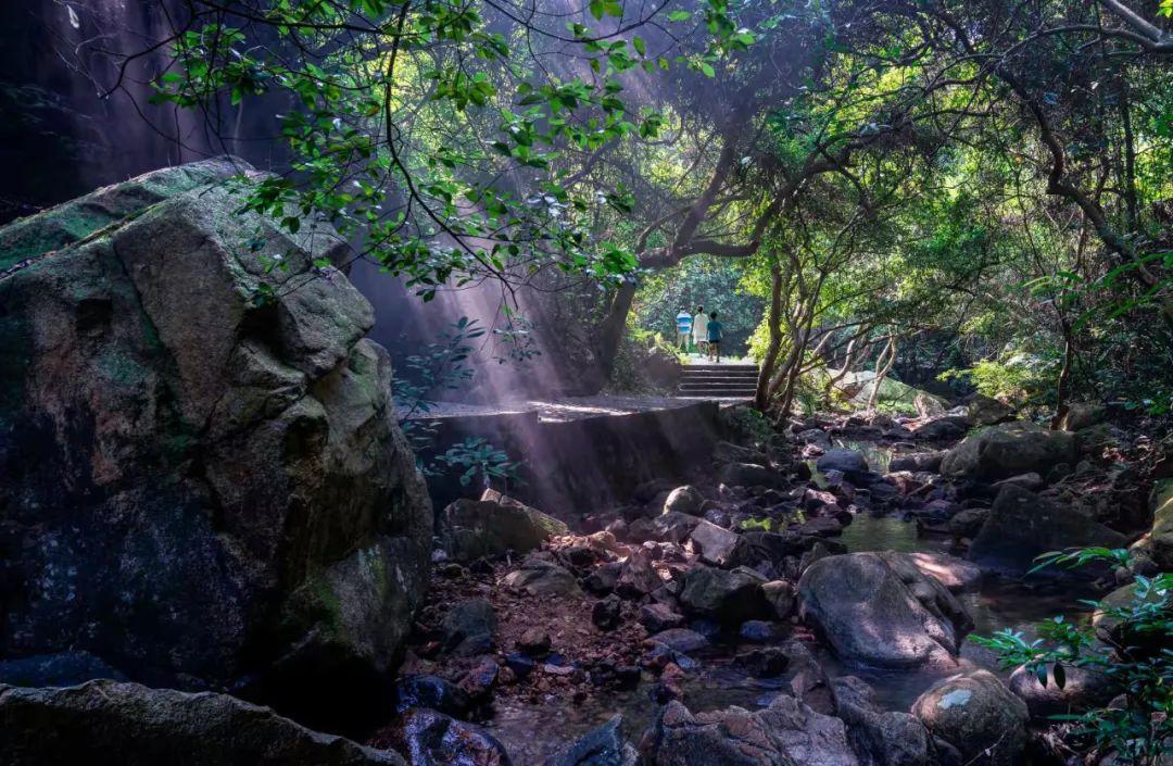 大岭山森林公园 - 全国335座高尔夫球场实时预订-高球爱好者一站式订场平台