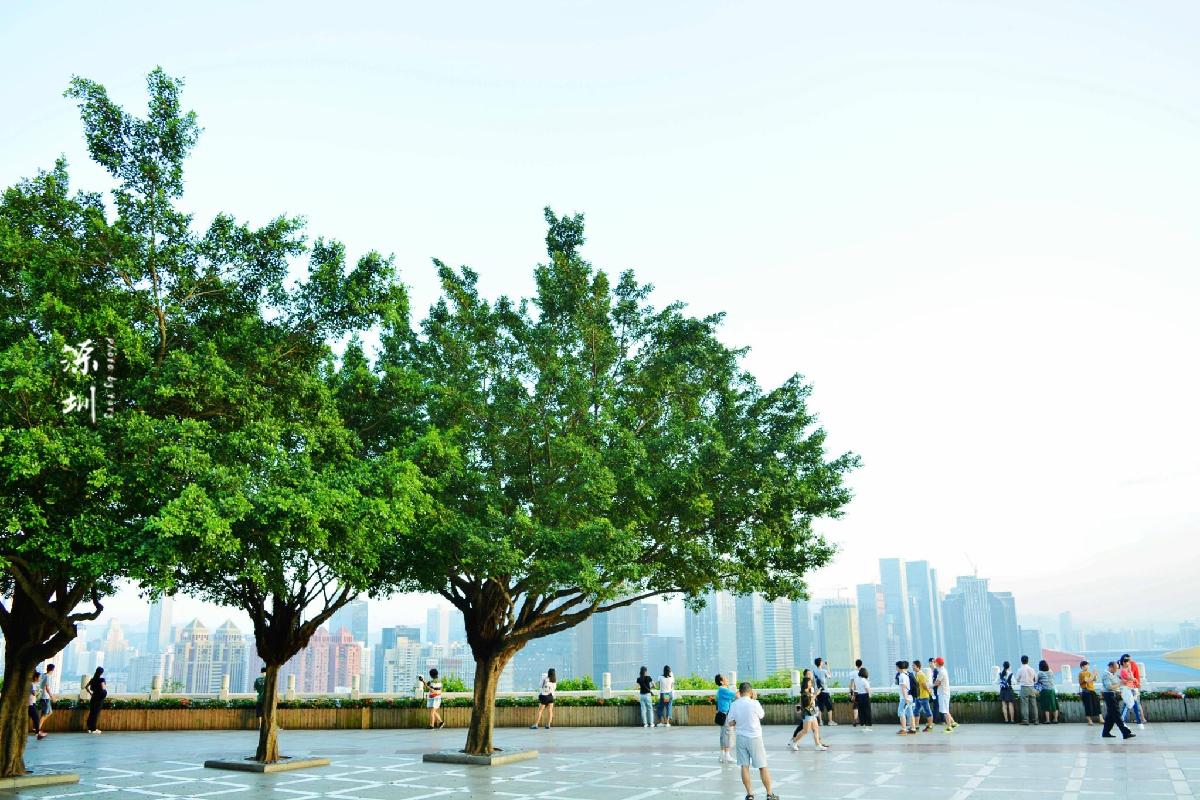 莲花山公园 - 星际高球联盟-中国精英人士高尔夫旅游度假实景