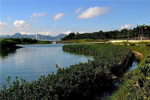 福田红树林自然保护区 - 星际高球联盟-中国精英人士高尔夫旅游度假实景