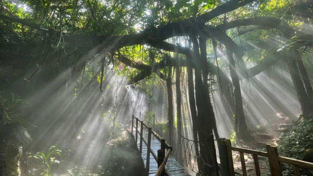 青青世界 - 星际高球联盟-中国精英人士高尔夫旅游度假实景