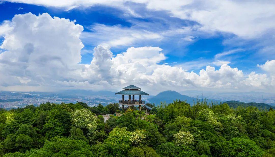 大岭山森林公园 - 阳江保利银滩高尔夫套票-海滨高尔夫旅游1球1晚套餐
