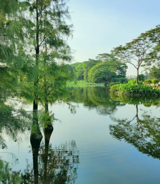 广州白云湖公园 - 星际高球联盟-中国精英人士高尔夫旅游度假实景