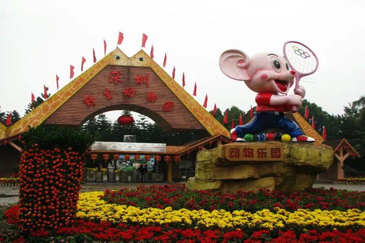 深圳野生动物园 - 星际高球联盟-中国精英人士高尔夫旅游度假实景