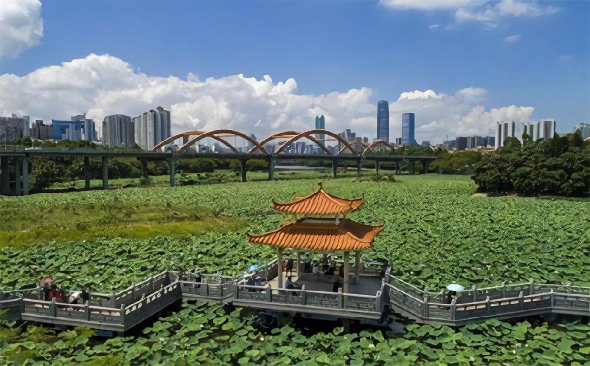 洪湖公园 - 全国335座高尔夫球场实时预订-高球爱好者一站式订场平台