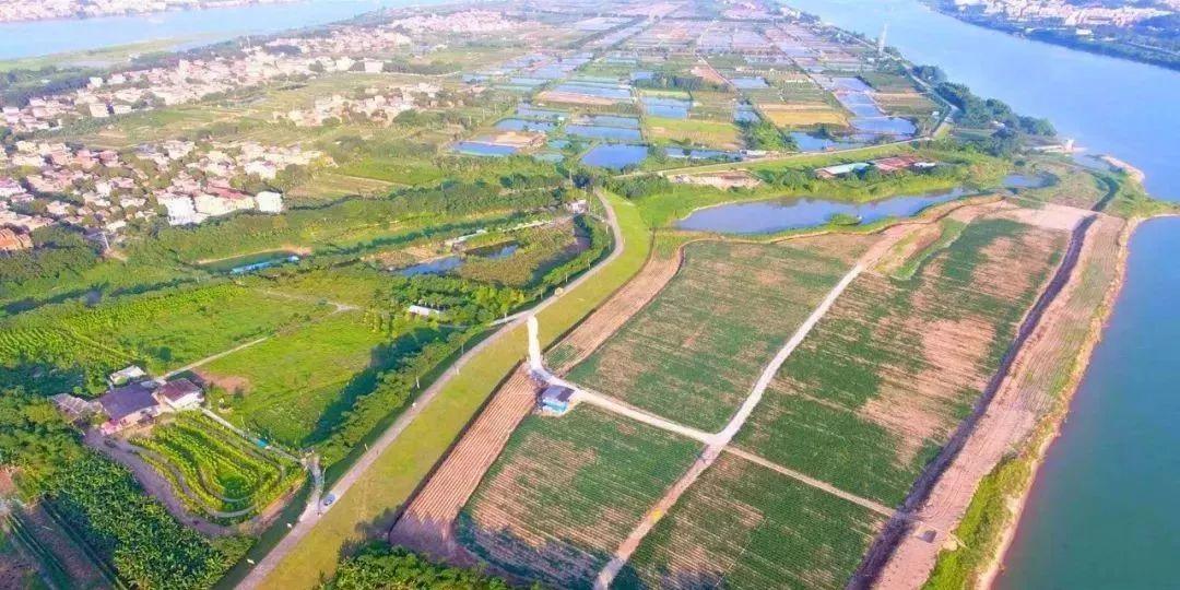 西樵平沙岛 - 全国335座高尔夫球场实时预订-高球爱好者一站式订场平台