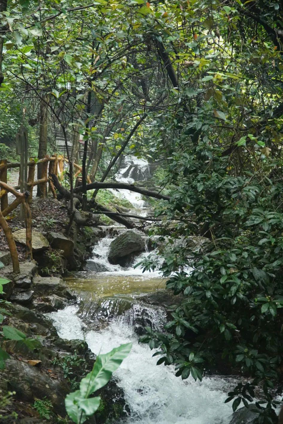 南丹山森林王国 - 星际高球联盟-中国精英人士高尔夫旅游度假实景