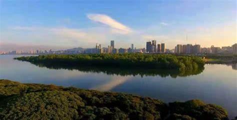 红树林海滨生态公园 - 全国335座高尔夫球场实时预订-高球爱好者一站式订场平台