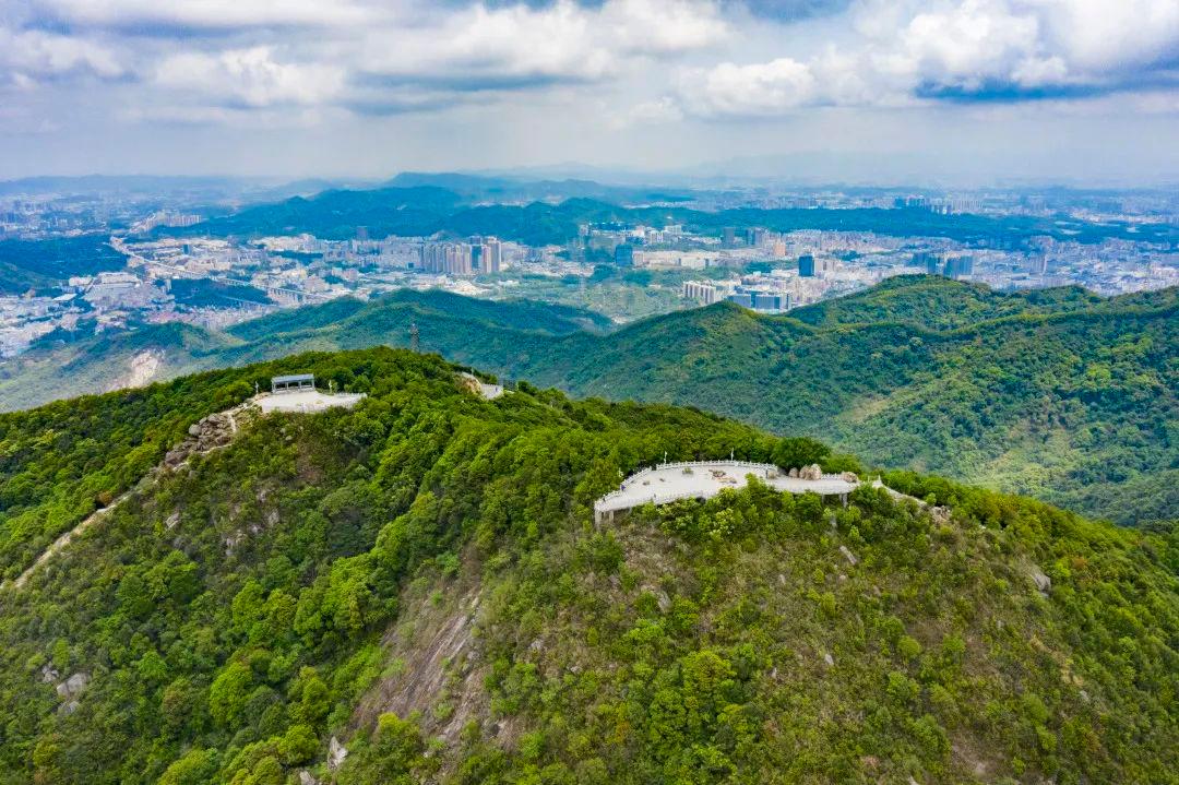 阳台山森林公园 - 高尔夫1球1晚特惠套票-星际高球联盟精选旅游套餐