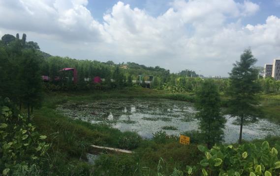 天河大观湿地公园 - 全国335座高尔夫球场实时预订-高球爱好者一站式订场平台
