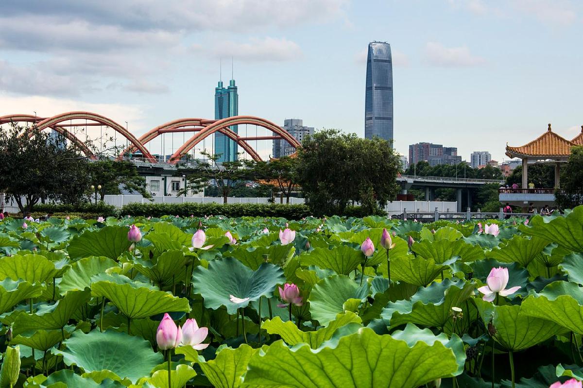 洪湖公园 - 星际高球联盟-中国精英人士高尔夫旅游度假实景