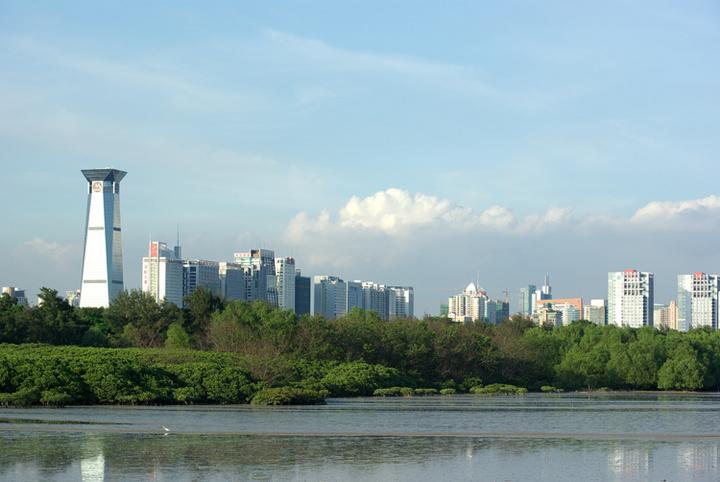 红树林海滨生态公园 - 高尔夫1球1晚特惠套票-星际高球联盟精选旅游套餐