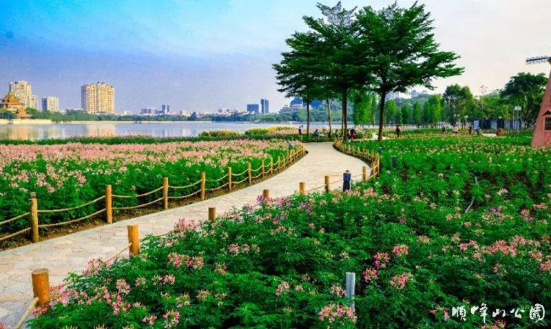 顺峰山公园 - 高尔夫1球1晚特惠套票-星际高球联盟精选旅游套餐