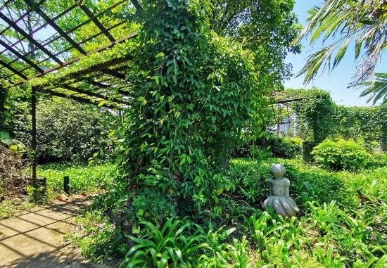 蒲州花园 - 全国335座高尔夫球场实时预订-高球爱好者一站式订场平台