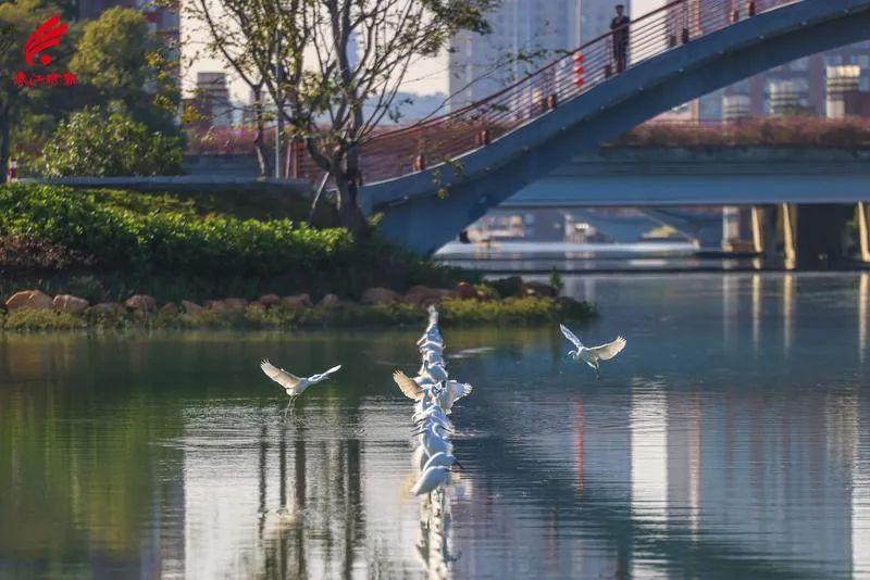 千灯湖公园 - 全国335座高尔夫球场实时预订-高球爱好者一站式订场平台