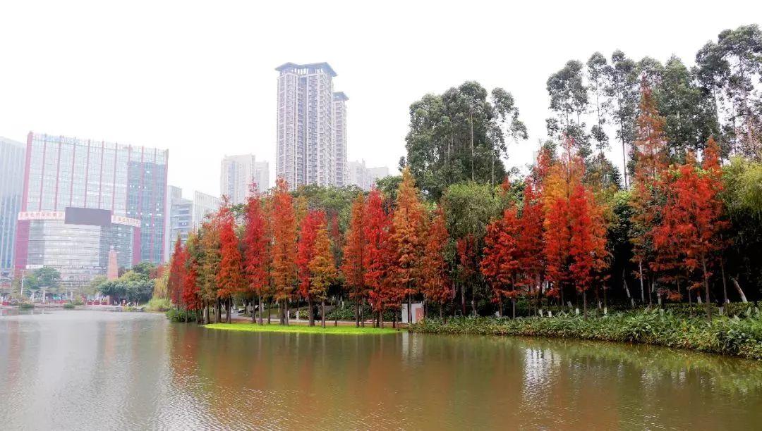 千灯湖公园 - 高尔夫1球1晚特惠套票-星际高球联盟精选旅游套餐