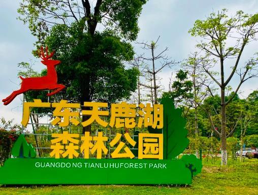 天鹿湖森林公园 - 星际高球联盟-中国精英人士高尔夫旅游度假实景