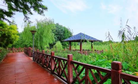 广东花都湖国家湿地公园 - 全国335座高尔夫球场实时预订-高球爱好者一站式订场平台