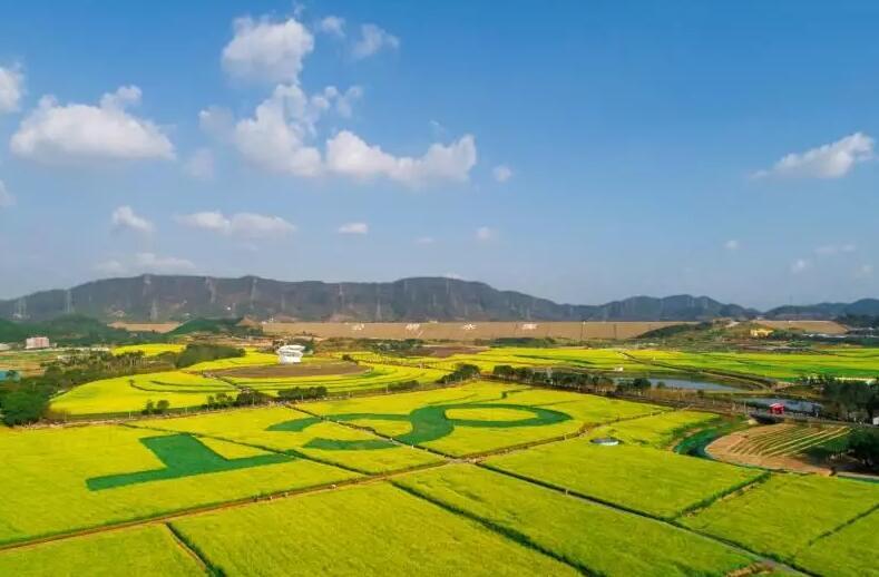 光明小镇欢乐田园 - 高尔夫1球1晚特惠套票-星际高球联盟精选旅游套餐