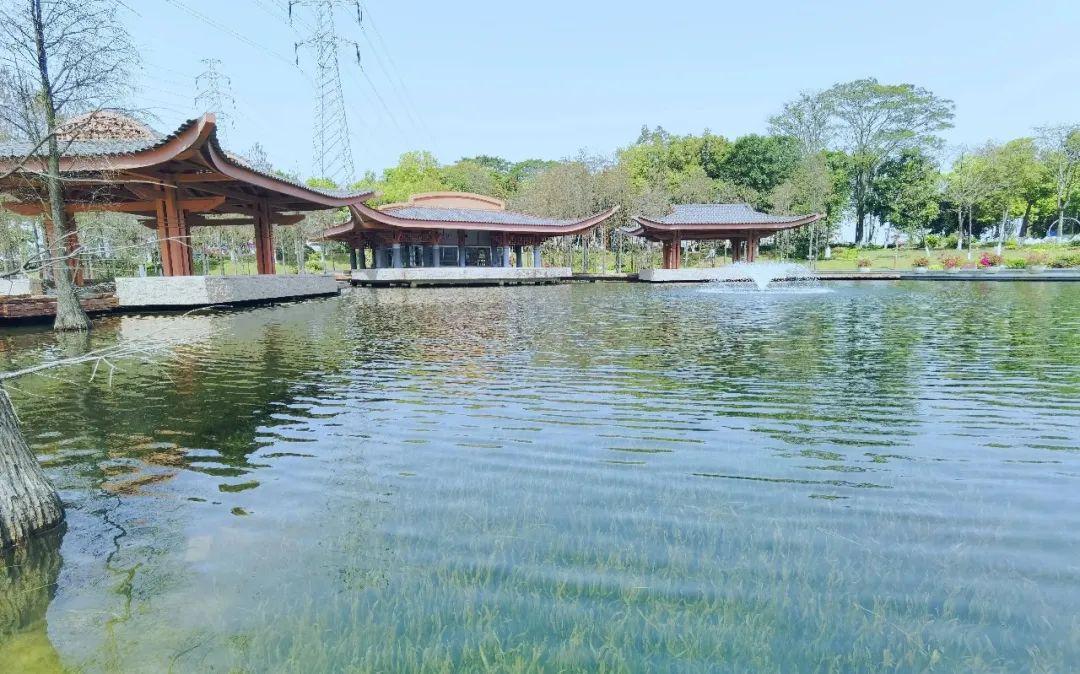 千灯湖公园 - undefined