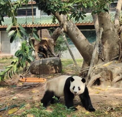 广州动物园 - 全国335座高尔夫球场实时预订-高球爱好者一站式订场平台