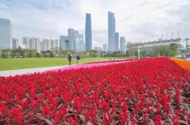 二沙岛艺术公园 - 全国335座高尔夫球场实时预订-高球爱好者一站式订场平台