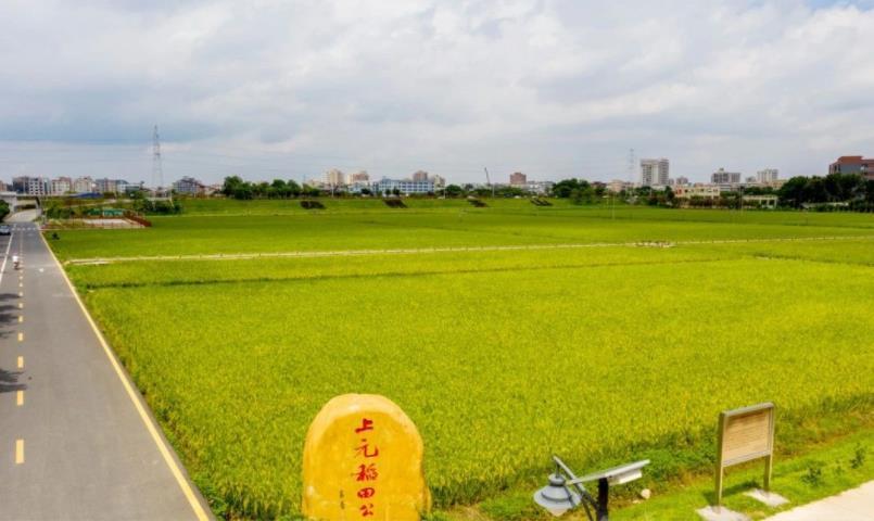 上元稻田公园 - 星际高球联盟-中国精英人士高尔夫旅游度假实景