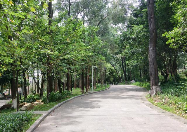 大王山公园 - 高尔夫1球1晚特惠套票-星际高球联盟精选旅游套餐