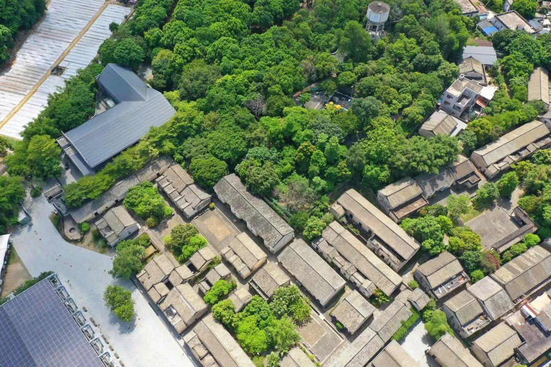 观澜版画村 - 全国335座高尔夫球场实时预订-高球爱好者一站式订场平台