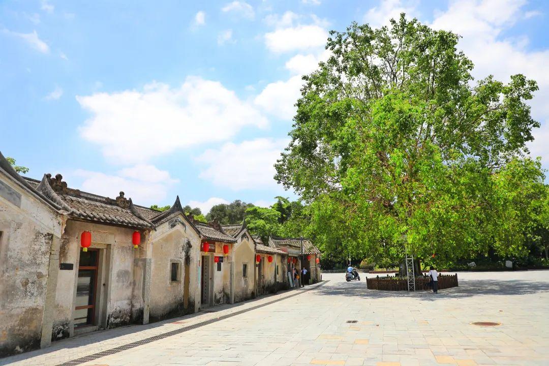 观澜版画村 - 星际高球联盟-中国精英人士高尔夫旅游度假实景