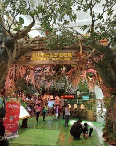 正佳雨林生态植物园(正佳广场店) - 星际高球联盟-中国精英人士高尔夫旅游度假实景