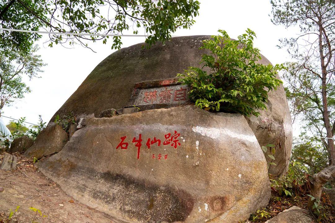 罗定石牛山森林公园 - 全国335座高尔夫球场实时预订-高球爱好者一站式订场平台