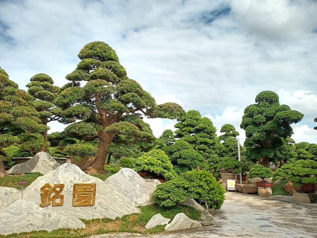 陈村花卉世界 - 高尔夫1球1晚特惠套票-星际高球联盟精选旅游套餐