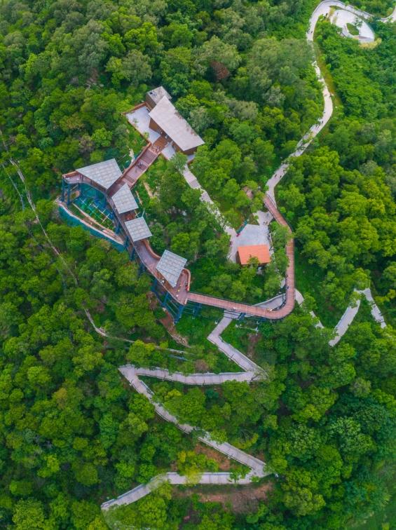 三山森林公园 - 高尔夫1球1晚特惠套票-星际高球联盟精选旅游套餐
