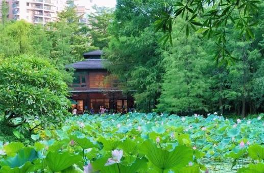 珠江公园 - 高尔夫1球1晚特惠套票-星际高球联盟精选旅游套餐