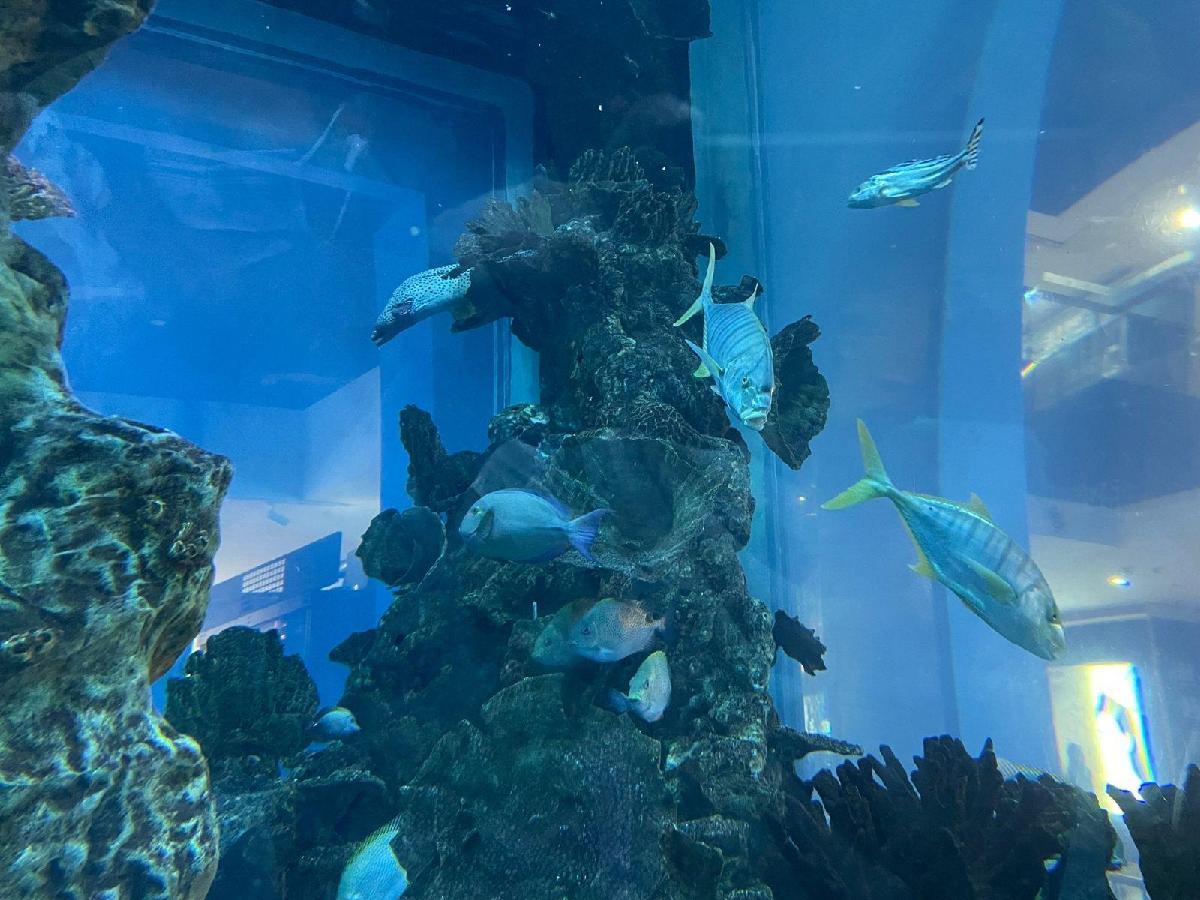 天佑城海洋馆 - 高尔夫1球1晚特惠套票-星际高球联盟精选旅游套餐
