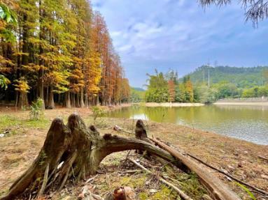 滴水岩森林公园 - 高尔夫1球1晚特惠套票-星际高球联盟精选旅游套餐