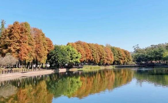 广州市麓湖公园 - 星际高球联盟-中国精英人士高尔夫旅游度假实景