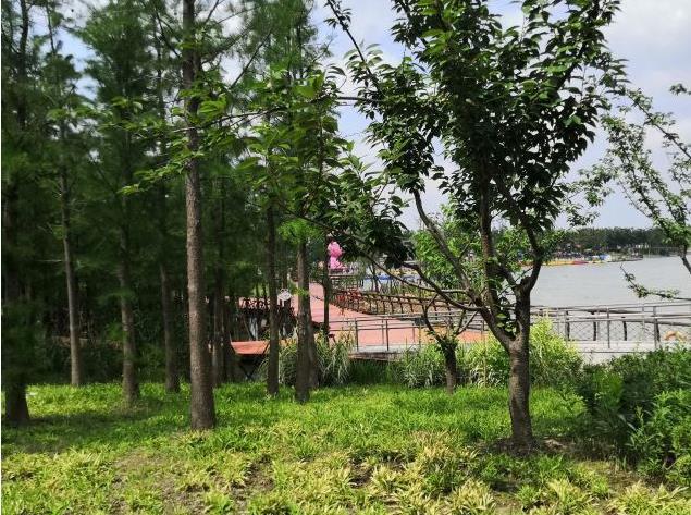 左岸公园 - 高尔夫1球1晚特惠套票-星际高球联盟精选旅游套餐