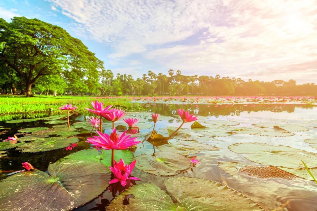 莲湖公园 - 星际高球联盟-中国精英人士高尔夫旅游度假实景