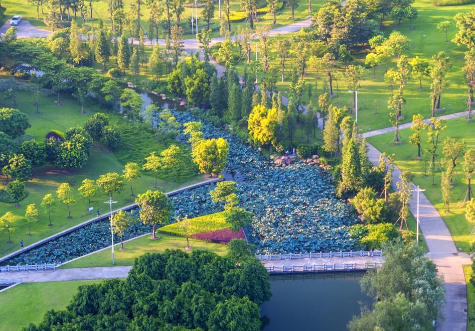 佛山植物园佛山植物园 - 高尔夫1球1晚特惠套票-星际高球联盟精选旅游套餐