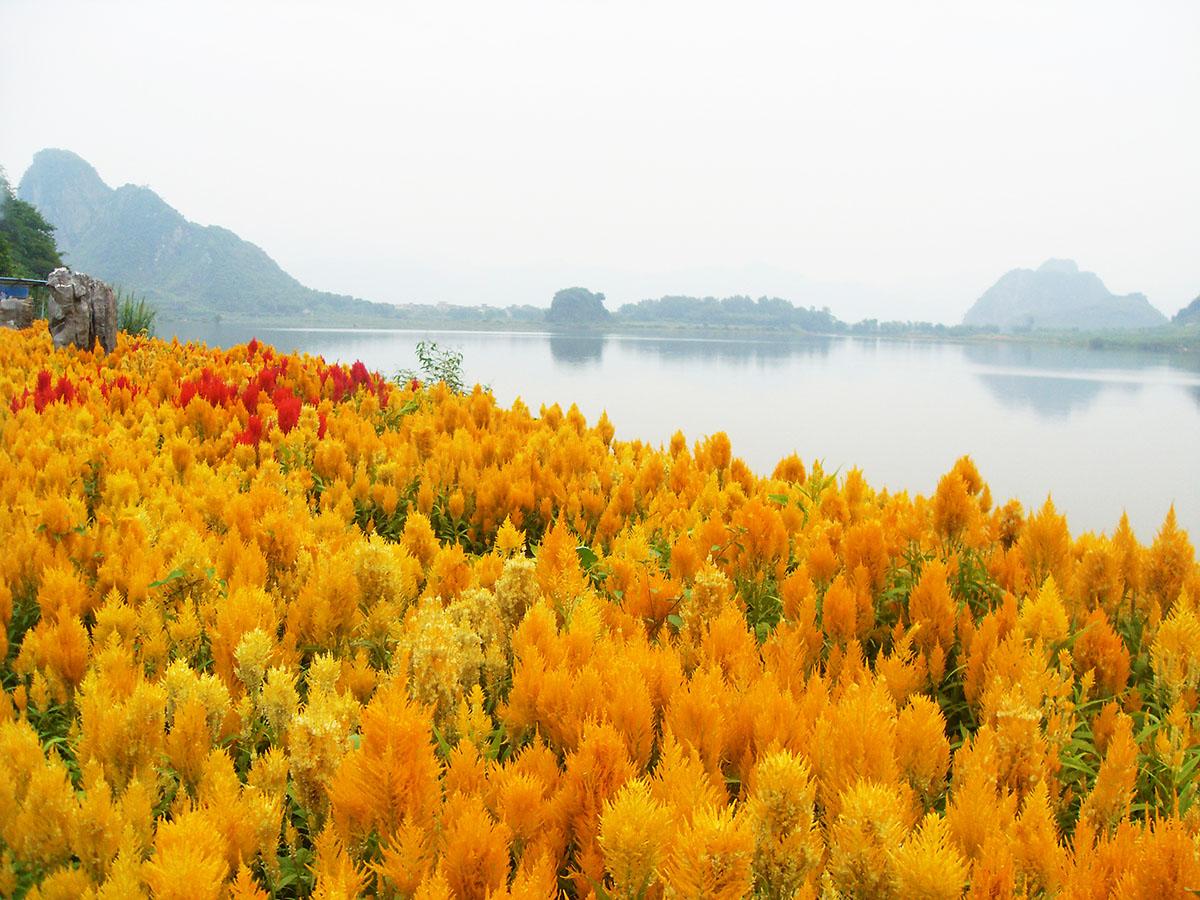 宝晶宫 - 全国335座高尔夫球场实时预订-高球爱好者一站式订场平台