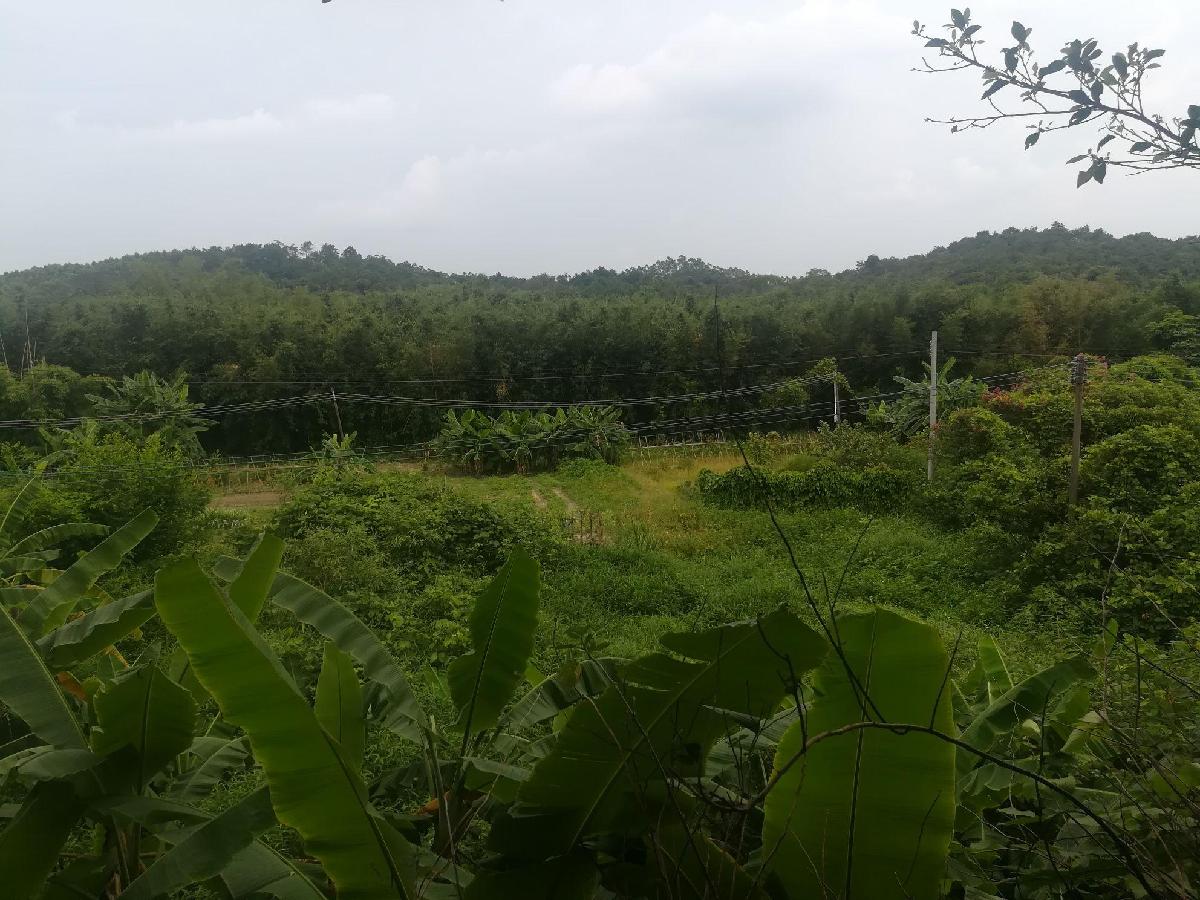 兴隆寺 - 星际高球联盟-中国精英人士高尔夫旅游度假实景
