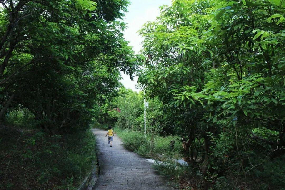 附城公园 - 全国335座高尔夫球场实时预订-高球爱好者一站式订场平台