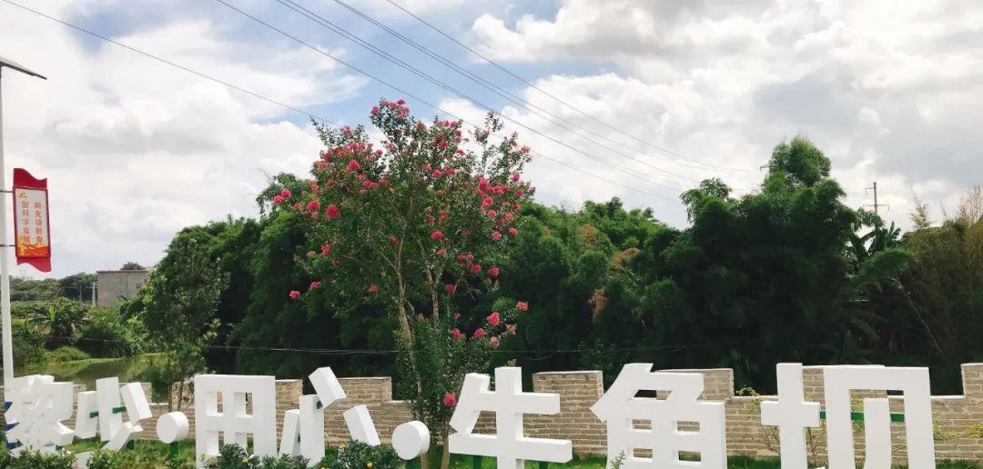 牛角坝新农村景点 - 深圳观澜湖高尔夫订场服务-广东专业高尔夫预订平台