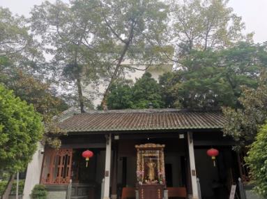 六榕寺 - 星际高球联盟-中国精英人士高尔夫旅游度假实景