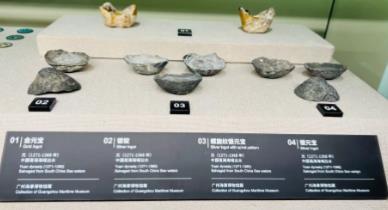 广州海事博物馆 - 高尔夫1球1晚特惠套票-星际高球联盟精选旅游套餐