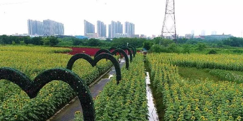 翰林湖农业公园 - 星际高球联盟-中国精英人士高尔夫旅游度假实景