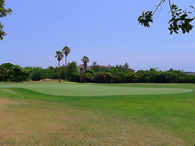 济州岛赛普拉斯/皇冠/中文·3球3晚 - 海口观澜湖高尔夫球场预订-海南高尔夫旅游攻略推荐