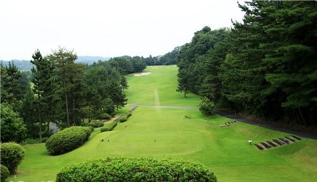  大阪岸和田球会